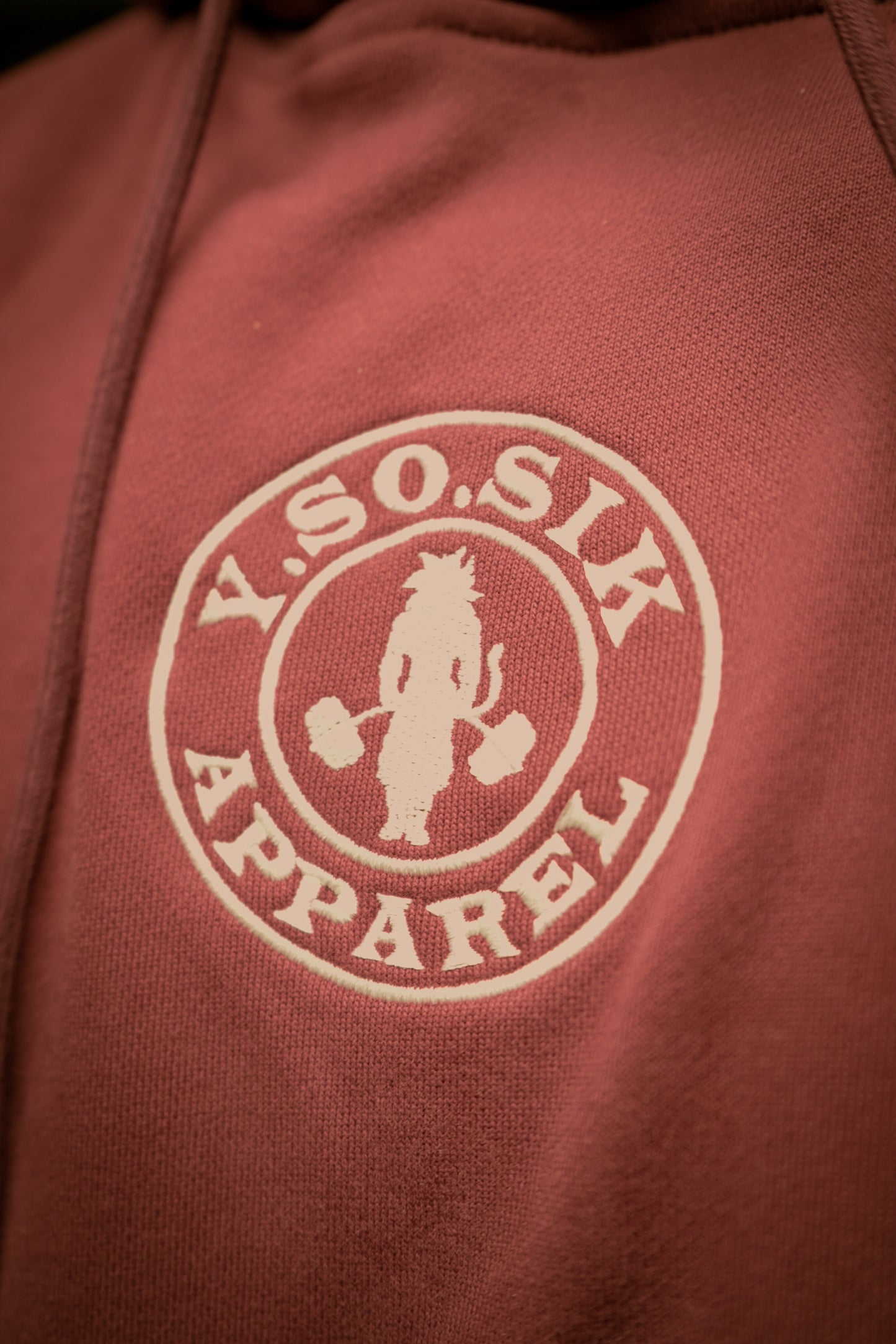 SAIYAN'S GYM | OVERSIZED VINTAGE HOODIE | LIMITED EDITION